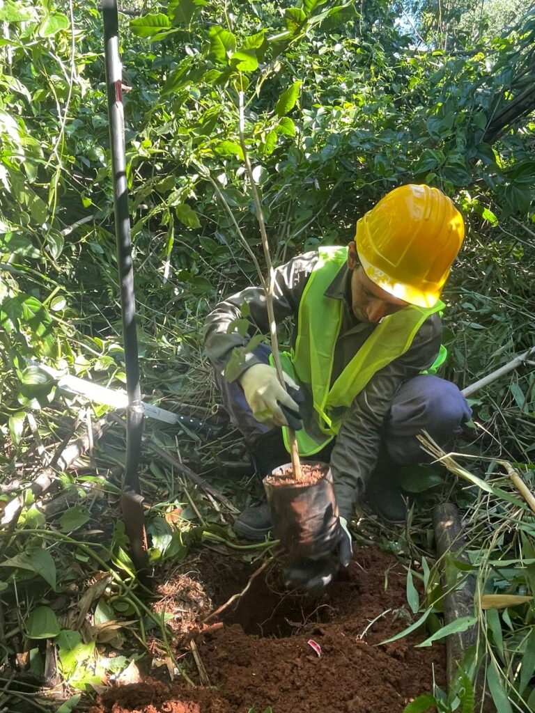 Imagen de portada para Respirando vientos de cambio...